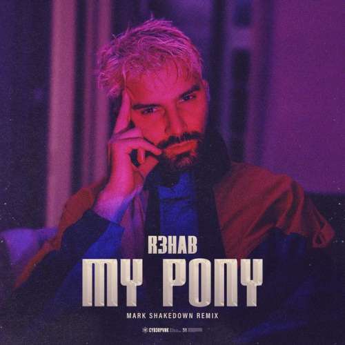 My Pony - Mark Shakedown Remix